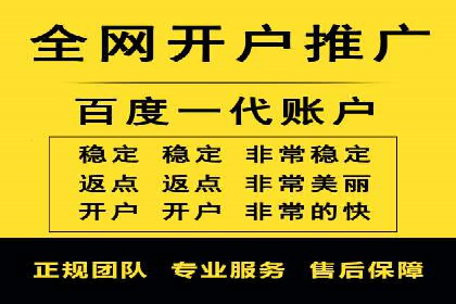 精准营销之道：百度竞价代理案例剖析